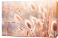 Obraz 90x60cm Kwiaty Słońca