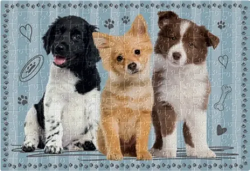 Puzzle 250 elementów. Pupile 3. Pieski na Arena.pl