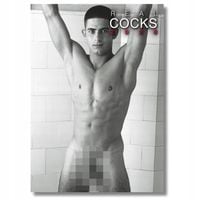 Kalendarz Erotyczny 2026 - Męska Nagość Bez Cenzury | Limitowana