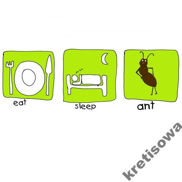 MĘSKA KOSZULKA MRÓWKA MRÓWKOJAD WZORY m3b zdjęcie 1