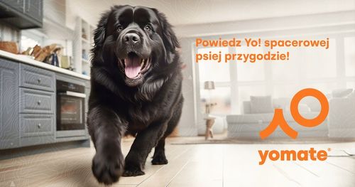 MOCNA SMYCZ dla DUŻEGO PSA / AUTOMATYCZNA / ZWIJANA / BLOKADA / 5 Metrów na Arena.pl