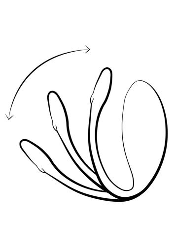 we-vibe jive lite purple na Arena.pl