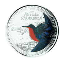 Antigua & Barbuda: Fregata wielka kolorowana 1 uncja Srebra 2021