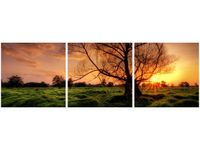 90 80CM OBRAZ T3 ELEM WIECZORNA PRZECHADZKA DRUK ŚCIENNY