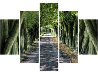 OBRAZ LEŚNA DROGA POMIĘDZY DRZEWAMI