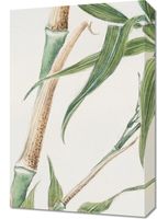 Obraz 40x60cm Bamboo, Morikaga Japoński Vintage do Salonu