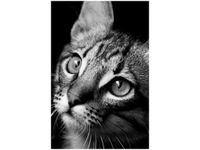 40X60CM SPOJRZENIE VISUALPANIC OBRAZ