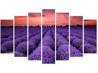OBRAZ LAWENDOWY GAJ SUNSET