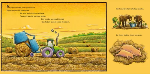 Na Placu Budowy... Pasą Się Krowy! na Arena.pl