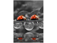 50X70CM SPACEREK OBRAZ PION ŚCIAN