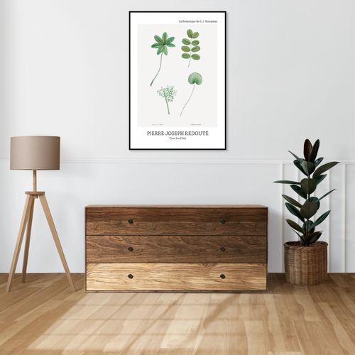 Plakat 20x30cm Design Tree Leaf Set, Redoute Vintage do Salonu na Arena.pl