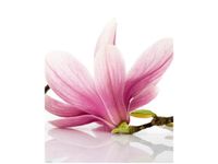 product-compare-58656592