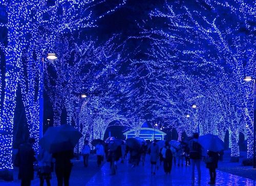 Lampki Choinkowe 300 LED 30m Zewnętrzne NIEBIESKIE + FLASH Timer na Arena.pl