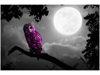 120CM 80CM OBRAZ ŚCIENNY FIOLETOWA SOWA