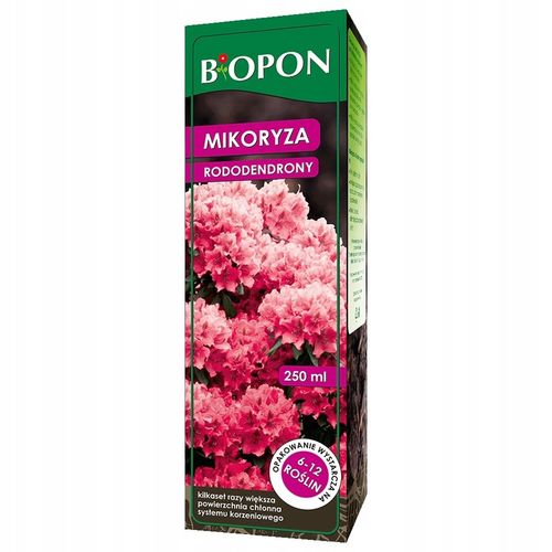 Mikoryza szczepionka do rododendronów wrzosów borówek azalii Biopon 250 ml na Arena.pl