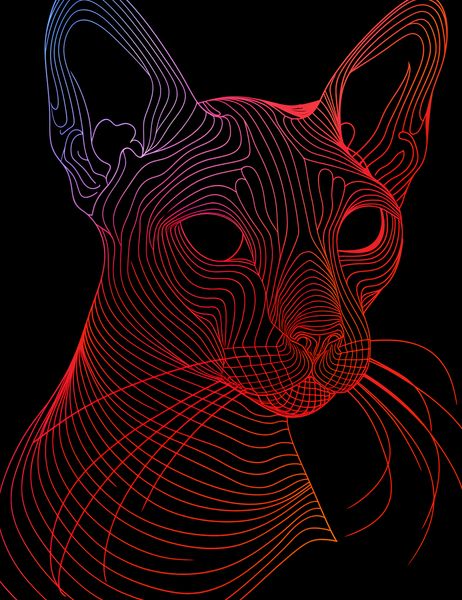 Plakat 50x65cm Cyfrowa Kocica zdjęcie 1