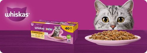 MOKRA KARMA WHISKAS JUNIOR DROBIOWA UCZTA 40x85G MIX SMAKÓW W GALARETCE na Arena.pl