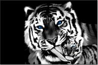 120CM 80CM OBRAZ ŚCIENNY TYGRYSY