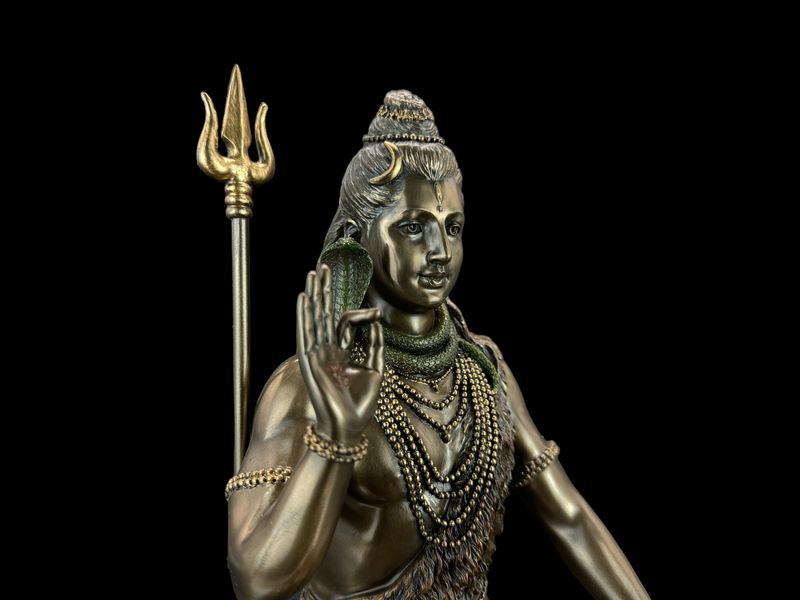 MEDYTUJĄCY SHIVA VERONESE WU76758A4 zdjęcie 4