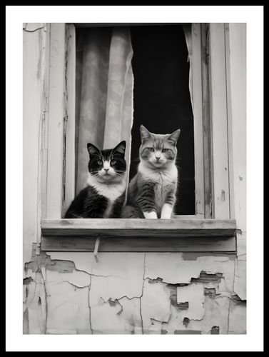 Plakat 39,5x55cm Para w Oknie na Arena.pl