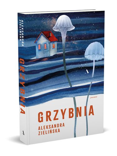 Grzybnia na Arena.pl