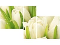 product-compare-58655392