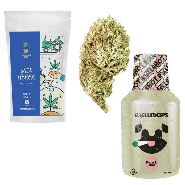 Rollshot + Susz CBD Jack Herer 1g zdjęcie 1