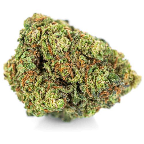 Susz konopny CBD Super Silver Haze Mocny 100 g na Arena.pl