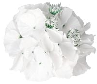 SZTUCZNE KWIATY HORTENSJA GŁÓWKA DO WYRABIANIA XXL