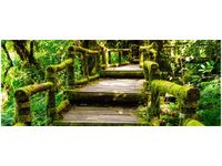 100X40CM DREWNIANY MOSTEK OBRAZ DREWNO