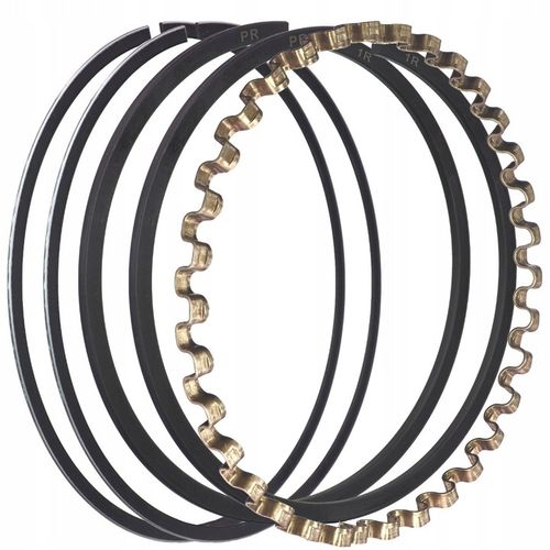 PIERŚCIENIE BRIGGS&STRATTON 10-18KM na Arena.pl