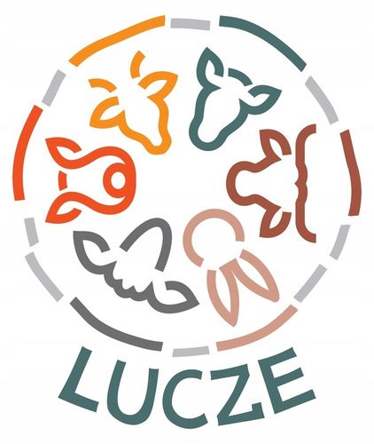 LUCZE _ Łapki z kurczaka suszone _1 kg_ 100% NATURALNE na Arena.pl