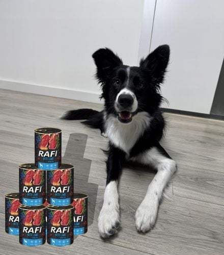 zestaw 48x400g karma mokra dla psów rafi mix smaków (jagnięcina, wołowina) na Arena.pl