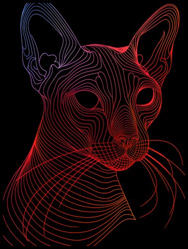 Plakat 60x80cm Cyfrowa Kocica na Arena.pl