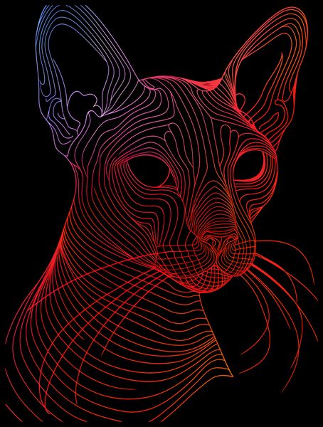 Plakat 60x80cm Cyfrowa Kocica zdjęcie 2