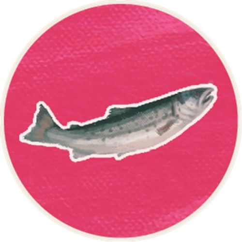 Gra Kaskadia Pomniki przyrody na Arena.pl