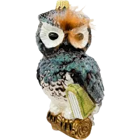 Bombka choinkowa szklana: Sowa z księgą: brązowa