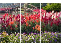 60 90CM OBRAZ 3 ELEM MOSTEK WŚRÓD KWIATÓW DRUK PŁÓTNO RAMA