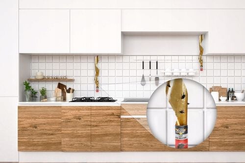 DUŻY ZESTAW LEPÓW NA MUCHY I INNE OWADY NO PEST na Arena.pl