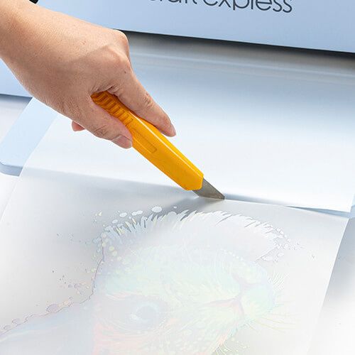 Folia do druku DTF 30 cm x 100 m na Arena.pl