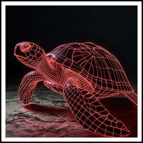 Plakat 100x100cm Neonowy Żółw na Arena.pl