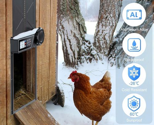 Automatyczne Drzwi Do Kurnika Z Timerem Blokada Przytrzaśnięcia Wodoodporne na Arena.pl