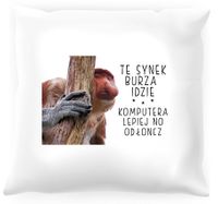 Poduszka z nosaczem -  Synek burza idzie