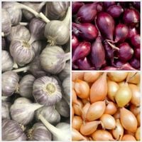 product-compare-61656152