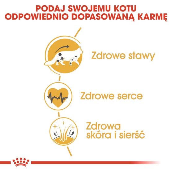 Zdrowa karma sucha dla kotów dorosłych rasy maine coon - Royal Canin 400g zdjęcie 4