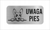 GRAWER Tabliczka laminat 20x10 cm UWAGA PIES Basenji