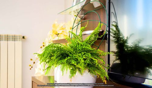 Podpora doniczkowa [2186] x 3 szt., ELGarden na Arena.pl