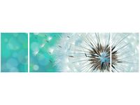 90CM 80 OBRAZ 3 ELEM PUSZYSTY DMUCHAWIEC ŚCIENNY