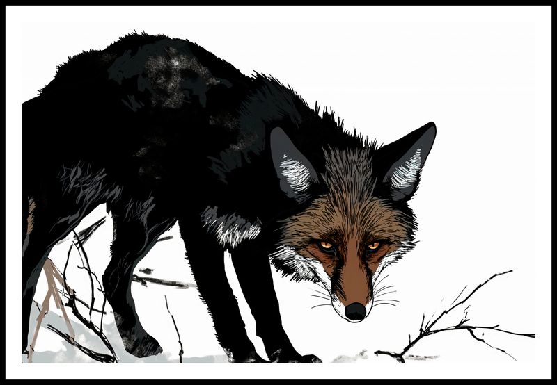 Plakat 91,5x61cm Nieufny Lis zdjęcie 3