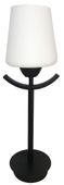 Londyn lampka gabinetowa 1x60W E27 czarny